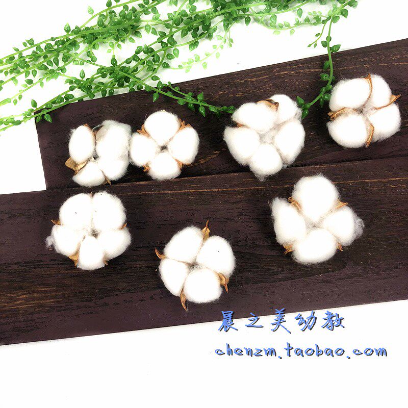 Kindergarten Environment Placement Decorative material ins Senson dry branch flower bag handmade with diy white cotton flower head