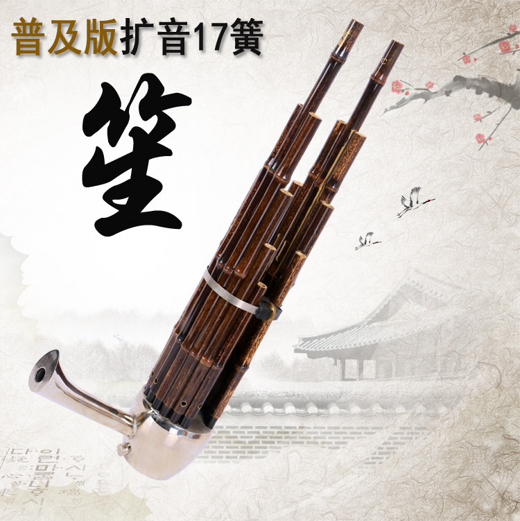 Yunde instrument playing 17 reed popularization round sheng old purple bamboo ebony sheng foot send sheng bag 