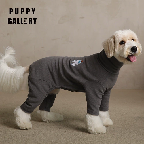 Галерея щенка Южной Кореи, Говорящий четырехпроизводительный плюшевый медвежь