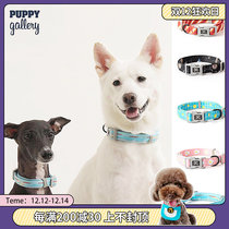South Korea Puppy Gallery dog collar leash Teddy belt dog leash small medium and large dog collar