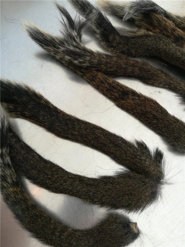 Canadian Squirrel Whole Tail Hair, Real Chipmunk Fur, Used to Make Brushes, Craft Materials Canadian Squirrel Whole Tail Hair, Real Chipmunk Fur, Used to Make Brushes, Craft Materials