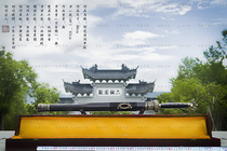 Longquan Jinyu Sword New Pattern Steel Integrated Handmade Gift Good Product Unopened Custom Thorn Dragon Han Sword Medium Model