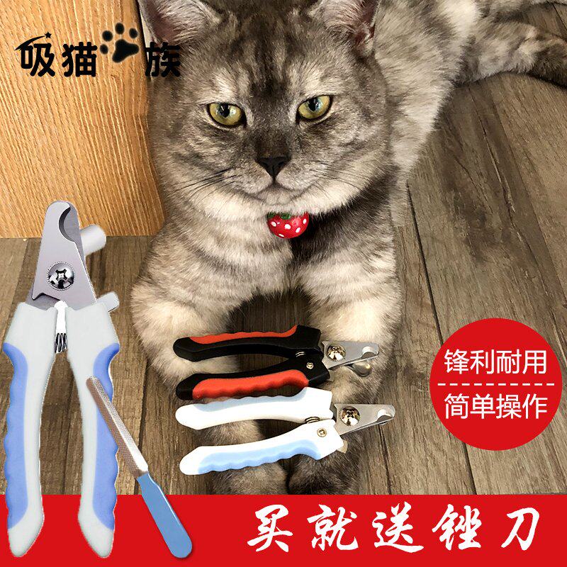 Cat fingernail cut cat with grinders suit special nail clippers dog nail clippers with big small scissors pets special