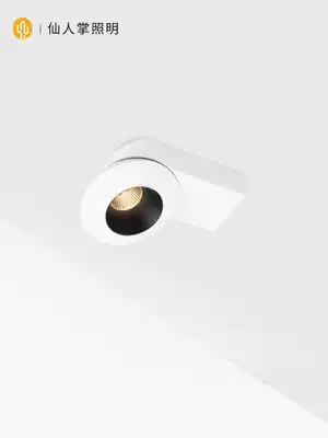 Cactus lighting LED surface mounted downlight Rotatable double-headed COB anti-glare spotlight Bedroom living room ceiling light 12W