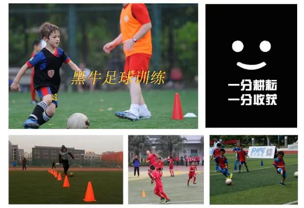 Logo bóng đá 23cm thùng đánh dấu logo logo logo món ăn chướng ngại vật bóng đá cung cấp thiết bị 10 giá tất bóng đá