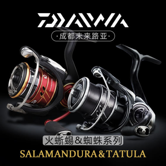 DAIWA TATULA 스파이더 얕은 라인 컵 루야 물레 도롱뇽 장거리 초경량 낚시 릴