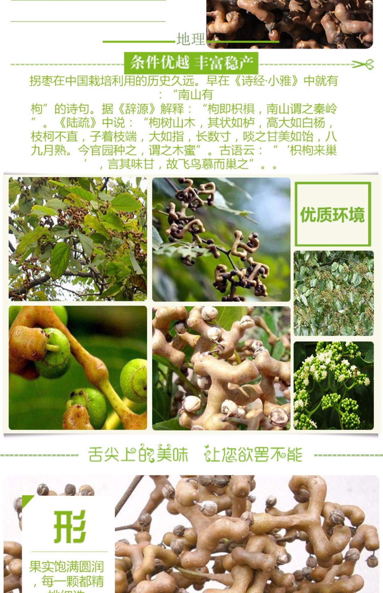 万寿果图片功效,水果,泡水_大山谷图库