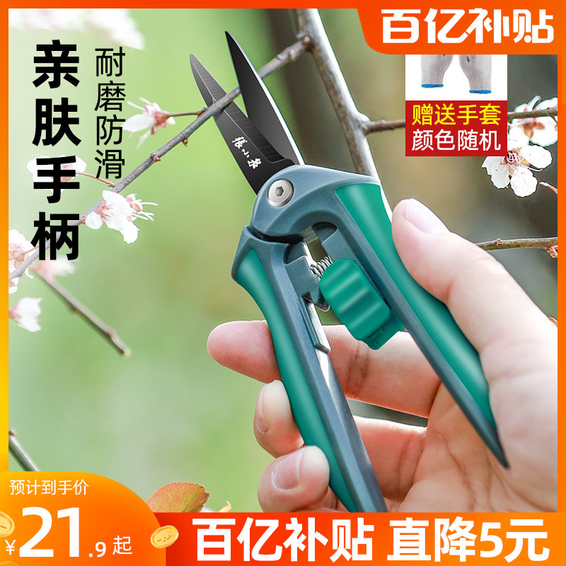 Zhang Koizumi Horticultural Cut Branch Scissors Repair Branch Cut Fruit Tree Garden Floral Cutting Tools Pruning Twigs Scissors Flower Cut-Taobao