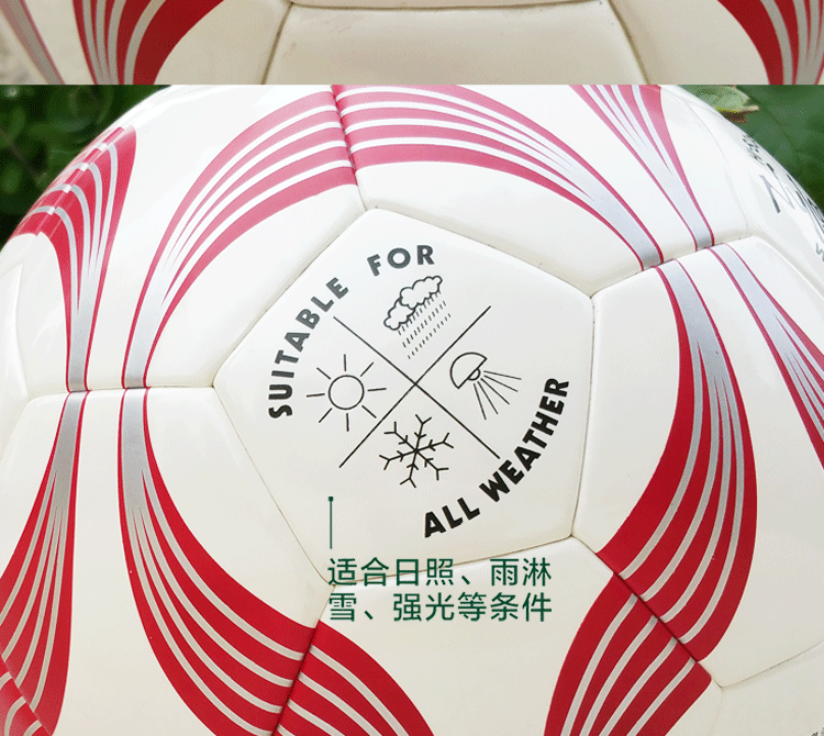 Ballon de foot - Ref 5828 Image 14