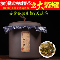 Yunnan Puer Tea Raw tea Loose tea Yiwu Ancient tea Tree tea 2019 Spring tea raw tea 1000g Purple sand canned