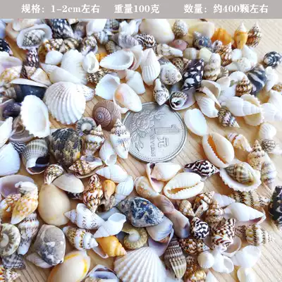 Natural small big shell conch sea star hermit crab fish tank landscaping decoration floating bottle material kindergarten handmade