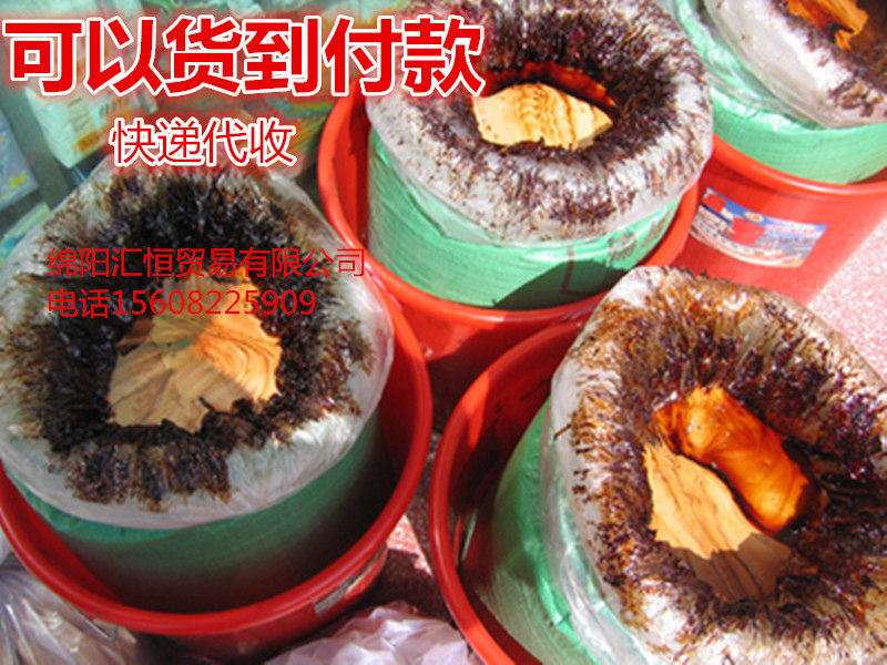 Pure raw lacquer earth lacquer big lacquer raw lacquer without adding guarantee quality RMB80 -3 hours left and right drying