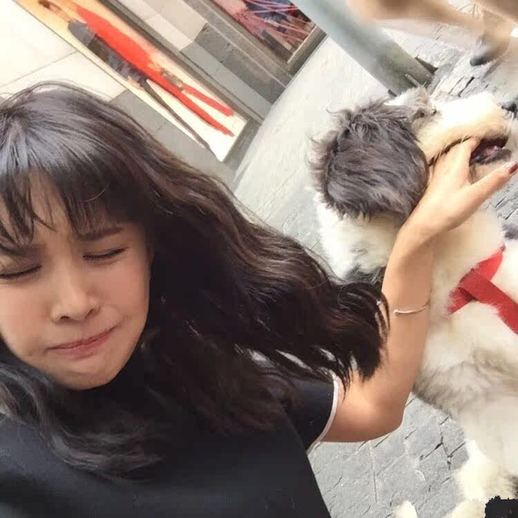 Perruque cheveux courts - Ref 2609530 Image 27