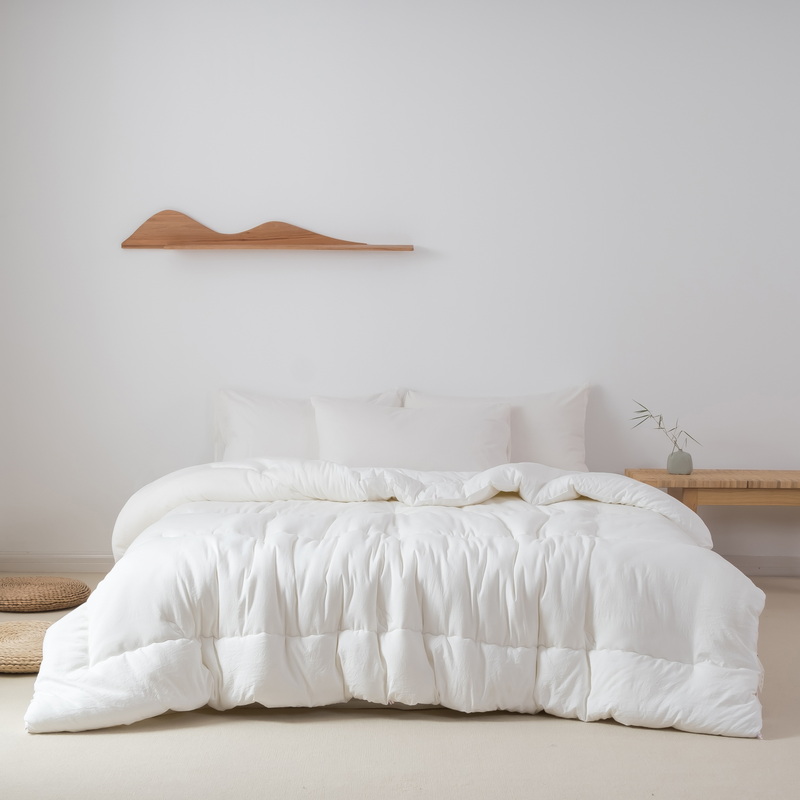 2021 new class A simple soybean winter quilt spring and autumn quilt 200*230cm4 5 catties white