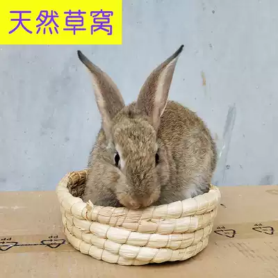 Pet rabbit nest rabbit mat winter warm household Four Seasons Insulation guinea pig dwarf rabbit escape cage mat straw nest small
