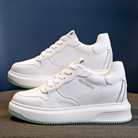 Белый и зеленый