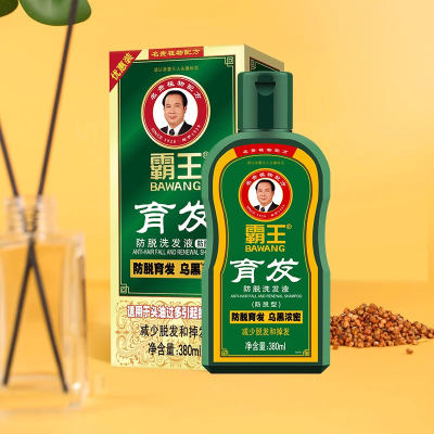 霸王育发防脱洗发水固发生姜控油蓬松坚固发根380ml*2