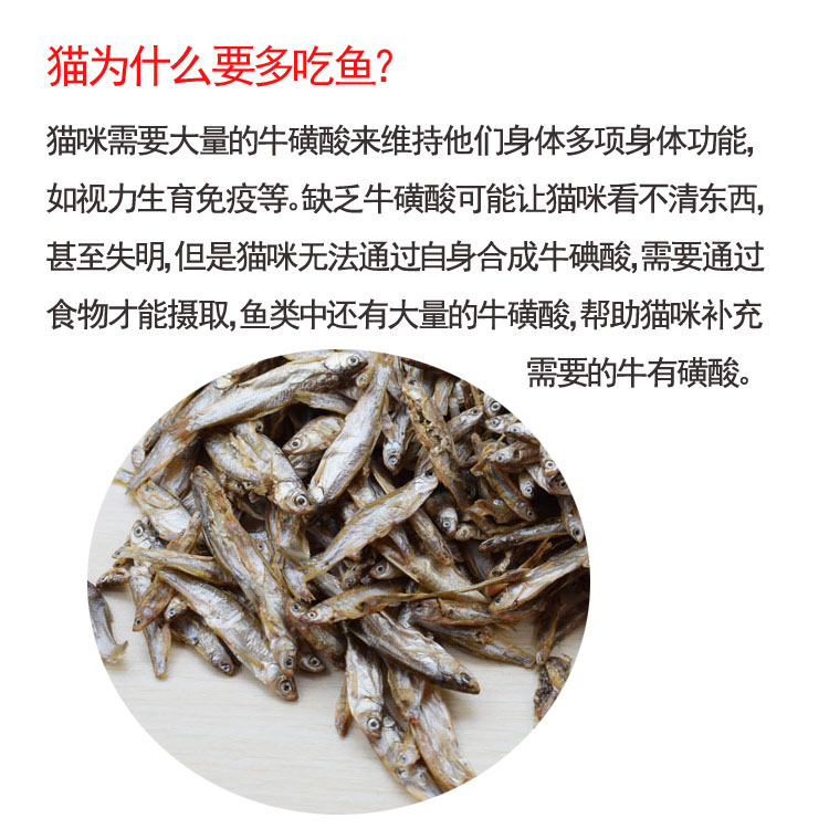Mèo nhỏ cá khô dải thịt cá mol Nước ngọt cá canxi mèo ăn thức ăn tươi tự nhiên nguyên chất cho mèo 500g - Đồ ăn nhẹ cho mèo thức ăn cho mèo ta
