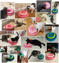 Cat toys cat turntable cat toy ball mouse toy teasing cat stick pet kitty kitty kitty supplies