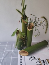 Bamboo Tube Flower Arrangement Bottle Piece Fresh Green Bamboo Tube Small Bamboo Flower Art Bamboo Festival Ring Genesis of Bamboo Tube Floral