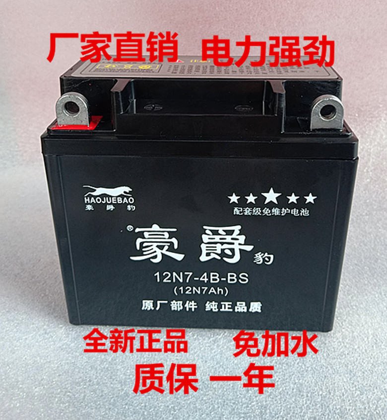 12n7-4a motorcycle battery 12V battery 7ah Diamond leopard 125 universal Longxin 150 Suzuki dry battery