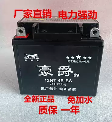 Locomotive battery 12V universal pedal 125 locomotive battery Curved beam locomotive straddle dry battery maintenance-free
