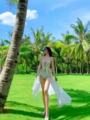 Net celebrity swimsuit women's sexy belly thin two-piece ins Super fairy holiday skirt bikini