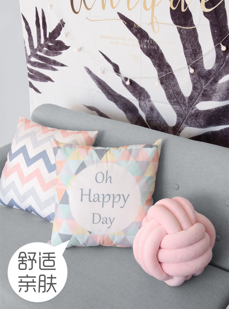 Gối màu đỏ Bắc Âu đầu gối gối sofa gối INS đệm văn phòng gối với lõi có thể tháo rời hai mặt gối sofa