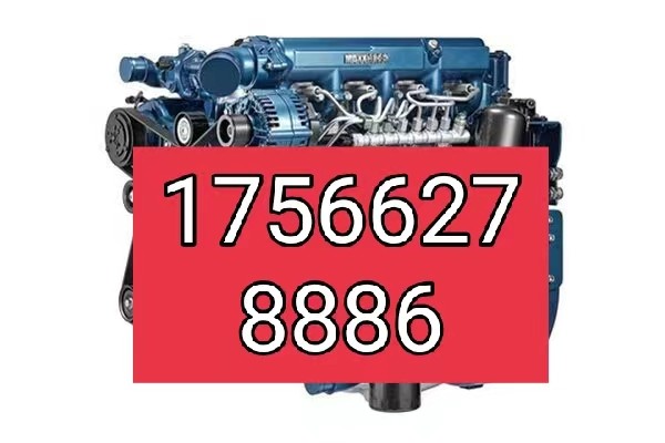 Wei Chai wp3 engine assembly wp2 3 Jianghuanwei Division Dada 3 2 4 8 Cloud Neue D19 D25 D25 F40 F40-Taobao
