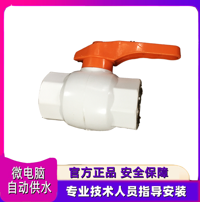 PPR Water Pipe Accessories Ball Valve Pipe Pipe Pipe One inch Home Fuse Switch Operating Valve Coupling