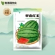 Ранняя весна красная нефрита арбуза 1 грамм (около 20 капсул) (около 20 капсул)