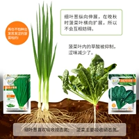 Четыре сезона Маленький зеленый лук 10 грамм+все -природные большой листовой шпинат 10 грамм