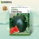 Сладкое без семян арбуз 20 зерна оригинального высокого качества/черная кожа красное мясо