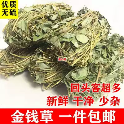 Guangxi large-leaf money grass tied wild Guangpeng soak water in the season new dry Chinese herbal medicine selection 500g g