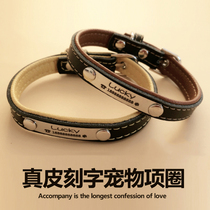 Bull Leather Lettering Cat Entry Ring Set for anti-loss identity card Gold Mao Teddy cute pet adjusting neck and neck sleeve bell