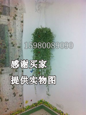 Ban công nồi giá lớp tường treo vườn rèn sắt treo ngoài trời giỏ móc hoa treo móc treo phong lan khung đèn lồng giá