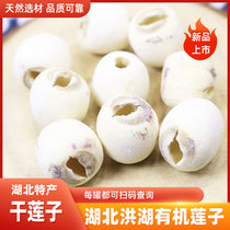 Hubei specialty Honghu water town organic lotus seeds dried lotus seeds cored and milled macaroni white lotus seeds 400g canned
