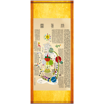 Repairs to the Authentic Tutan to Nine-to-Tun Human Acupoint Bitmap of the Medical Museum Hung Painting Decoration Painting