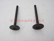 Yamaha Penier Seas 4-stroke 2 5 4 5 6-horsepower outboard motor hang-up propeller intake and exhaust valves