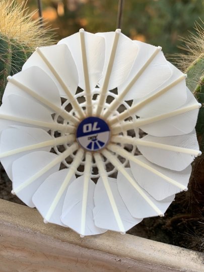 ADC70羽毛球三星中极星 A+60高品质东北鹅毛拉直耐打稳定训练比赛