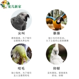 Игрушка для тренировок, спортивный комплекс, лестница, качели