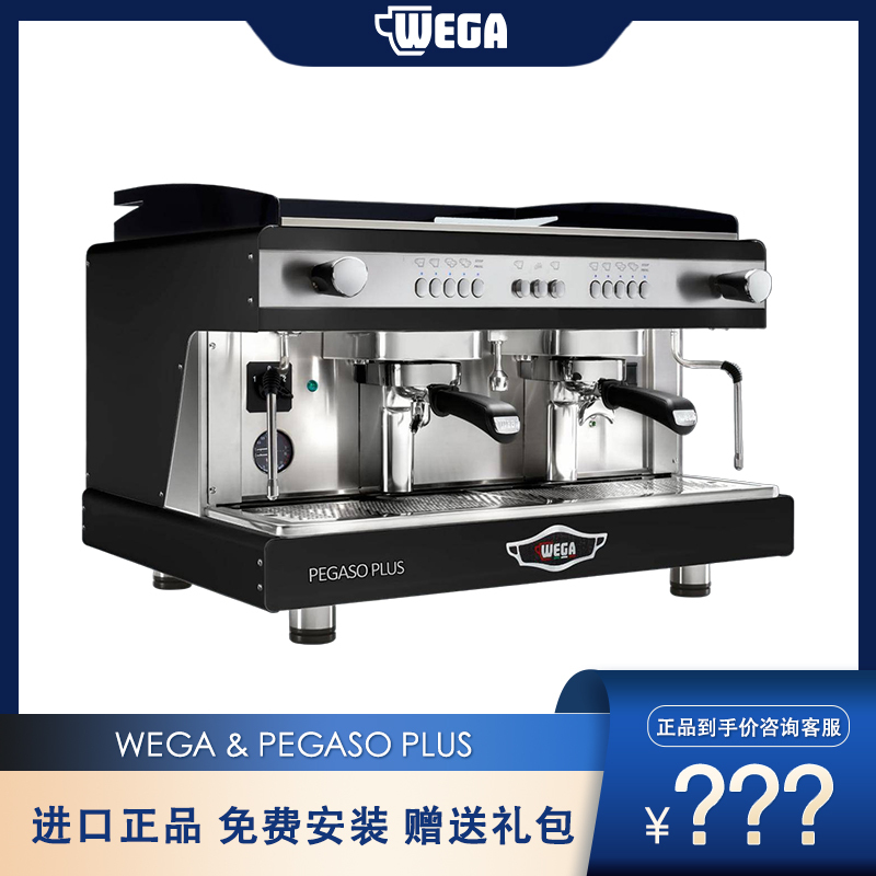 Wega Pegaso Plus Espresso Machine Commercial Semi-Automatic Coffee Machine Dual-Head Electric Control Wega Pegaso Plus Espresso Machine Commercial Semi-Automatic Coffee Machine Dual-Head Electric Control