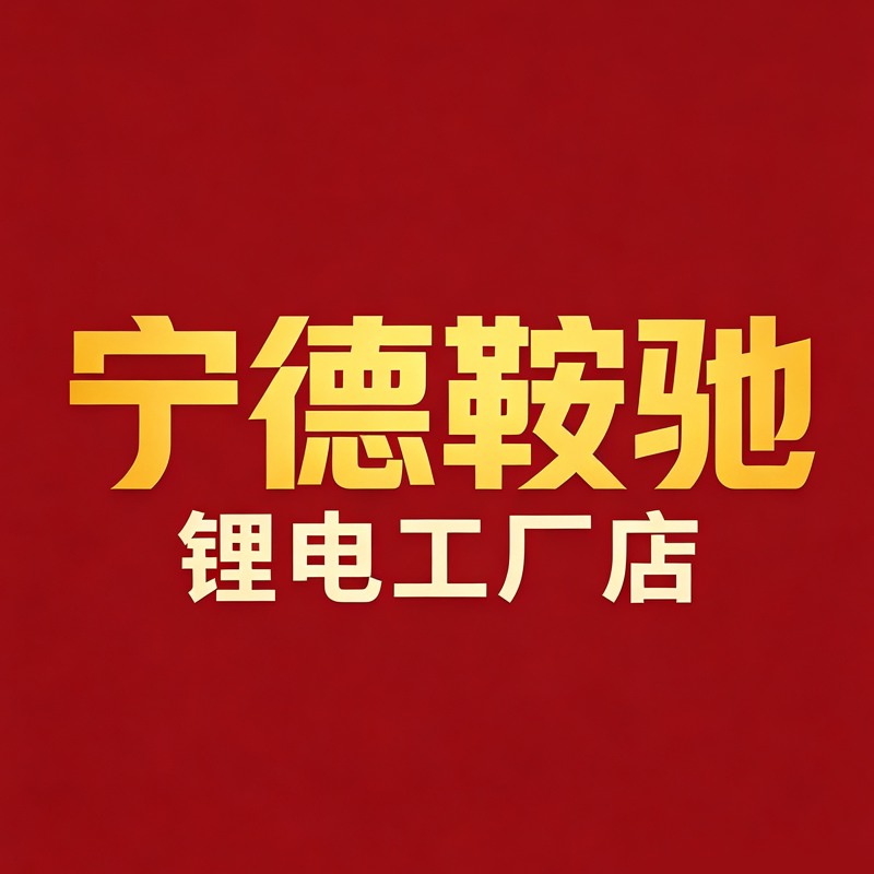 宁德鞍驰锂电池