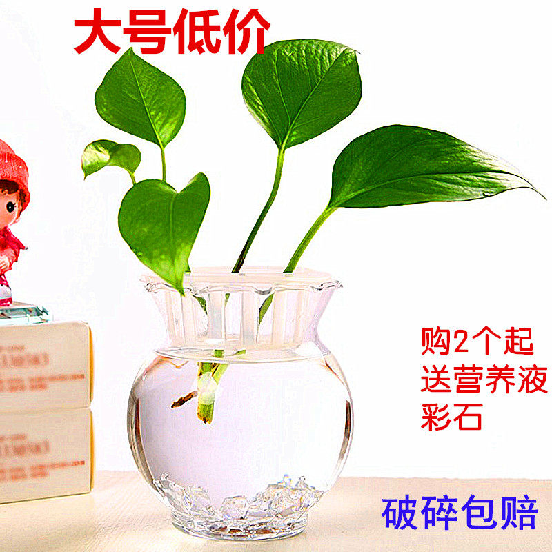上新水培透明玻璃花瓶绿萝花盆养鱼花瓶创意恐龙蛋植物瓶子富促销