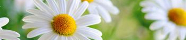 Pantalon pour garcons et filles - Ref 2059197 Image 21