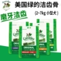 Nhập khẩu Green Clean Răng Greenies65 Túi Teddy Bear Dogs Molar Stick Dog Nhai Dog Snacks thức an cho chó bao 10kg