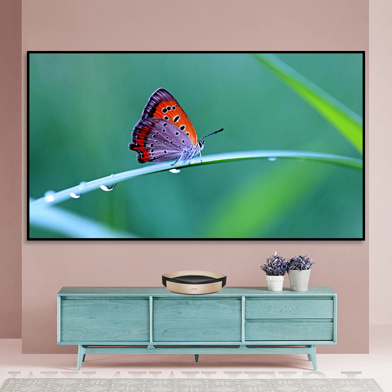 免打孔还能够以抗光。这个幕布是偷偷给我开了挂吗？