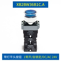 Zb2-bwb ... c Blue 1 часто открывает самоуверенный 24 В