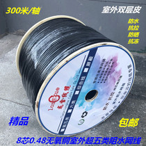 Foot meter outdoor super five 0 48 oxygen-free copper network cable Computer network cable Pure copper monitoring twisted pair network cable