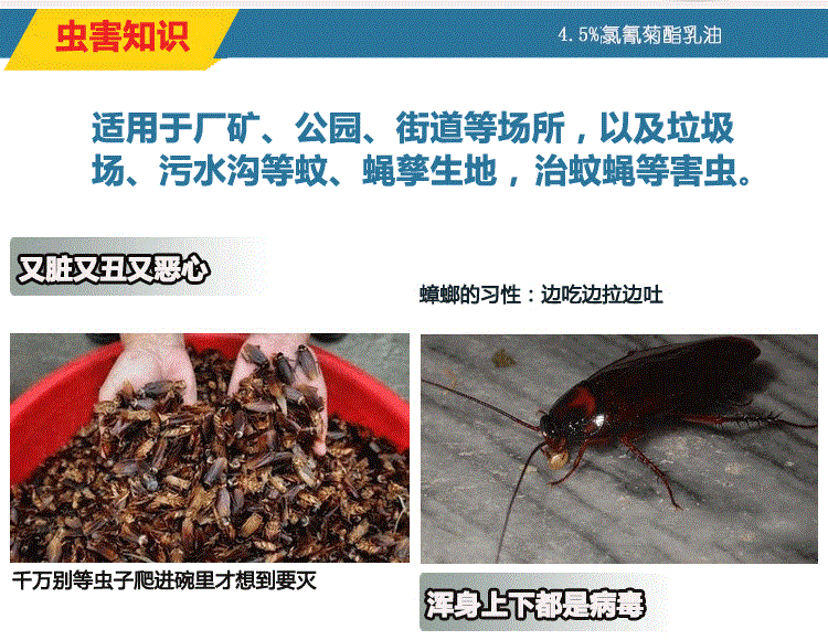 Vệ sinh Âm nhạc Chống muỗi Potion Nhà máy Khách sạn Nhà máy Chống muỗi Ngoài trời Cộng đồng Thuốc diệt muỗi - Thuốc diệt côn trùng 	chai xịt côn trùng của nhật